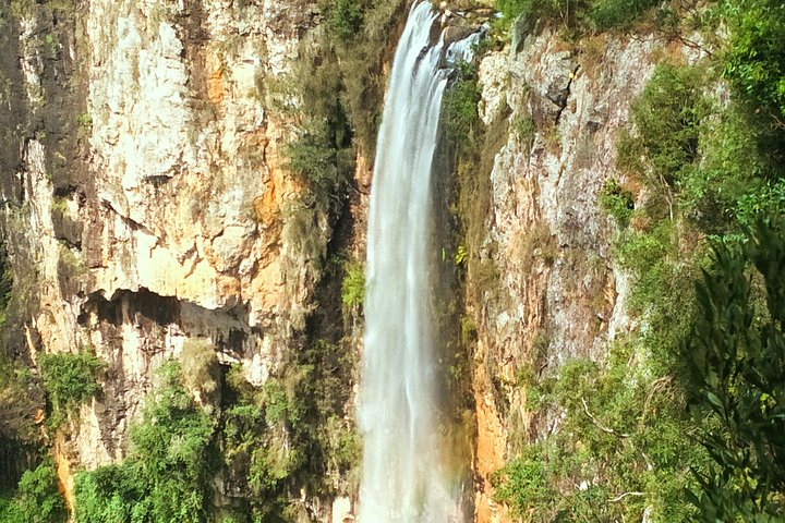 Private Tour - Rainforest  Waterfalls Extravaganza - Accommodation Burleigh